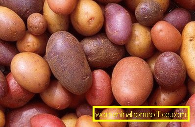 Diferentes variedades de batatas